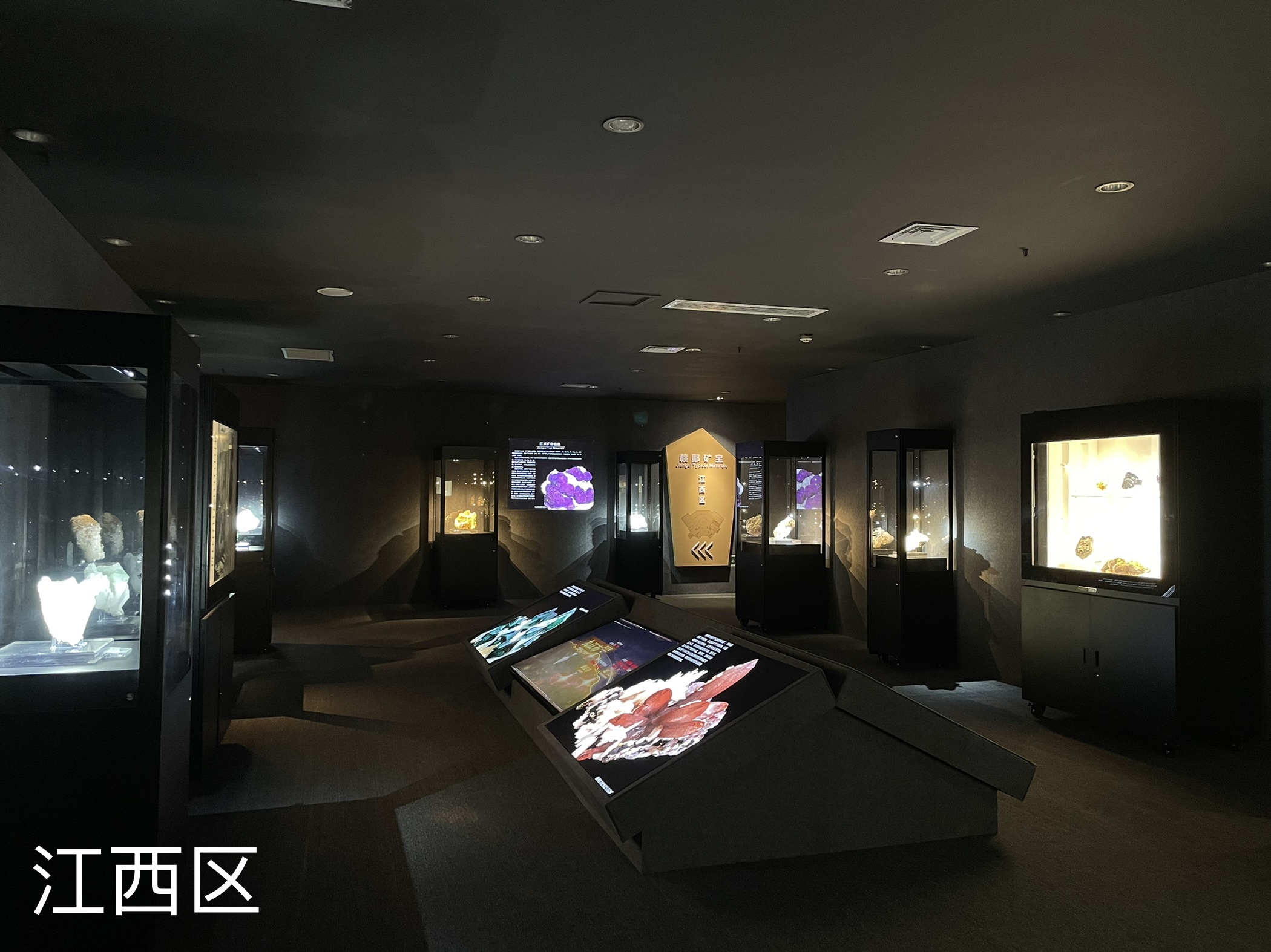 展厅实景 03