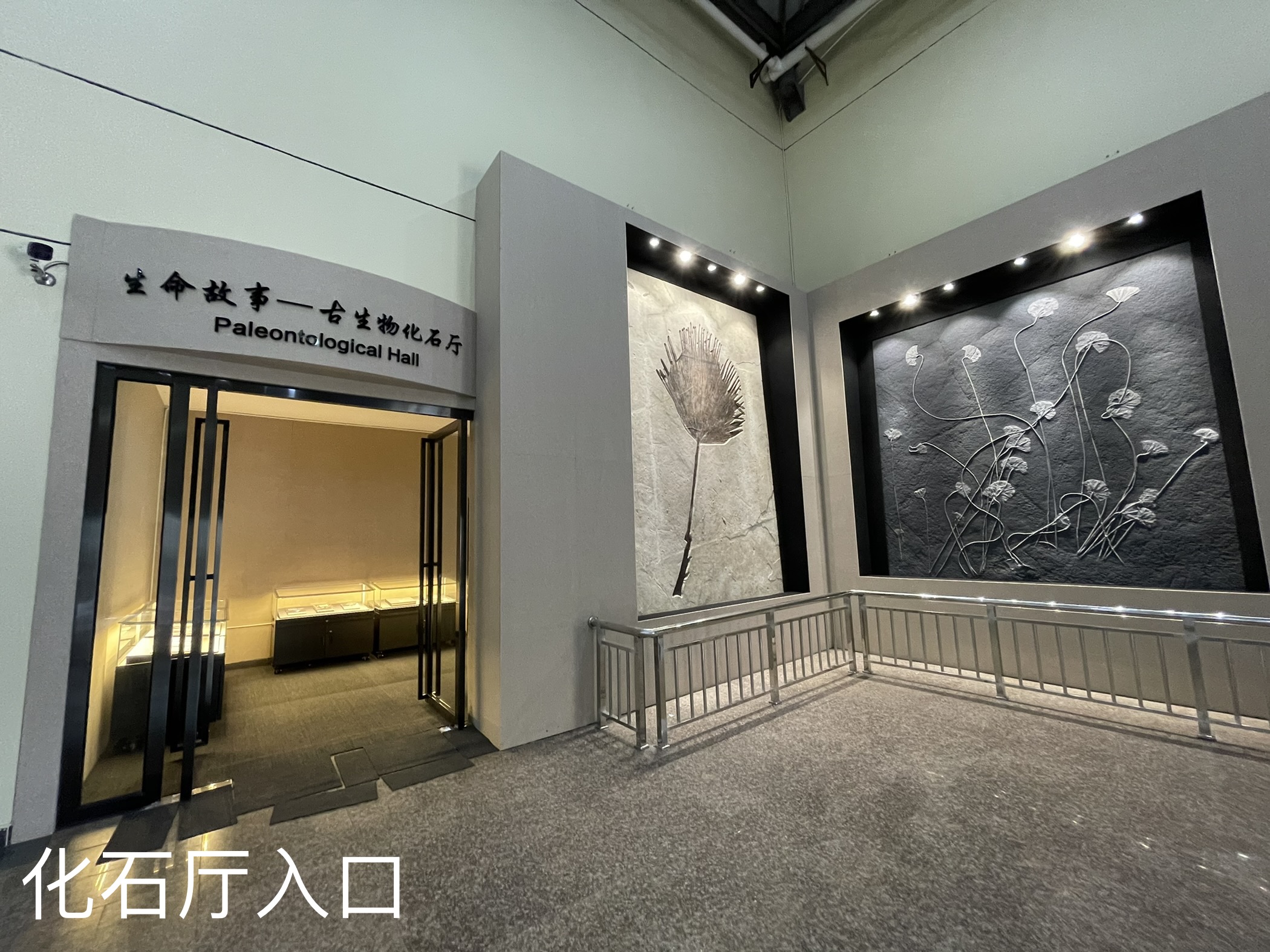 古生物化石厅大门